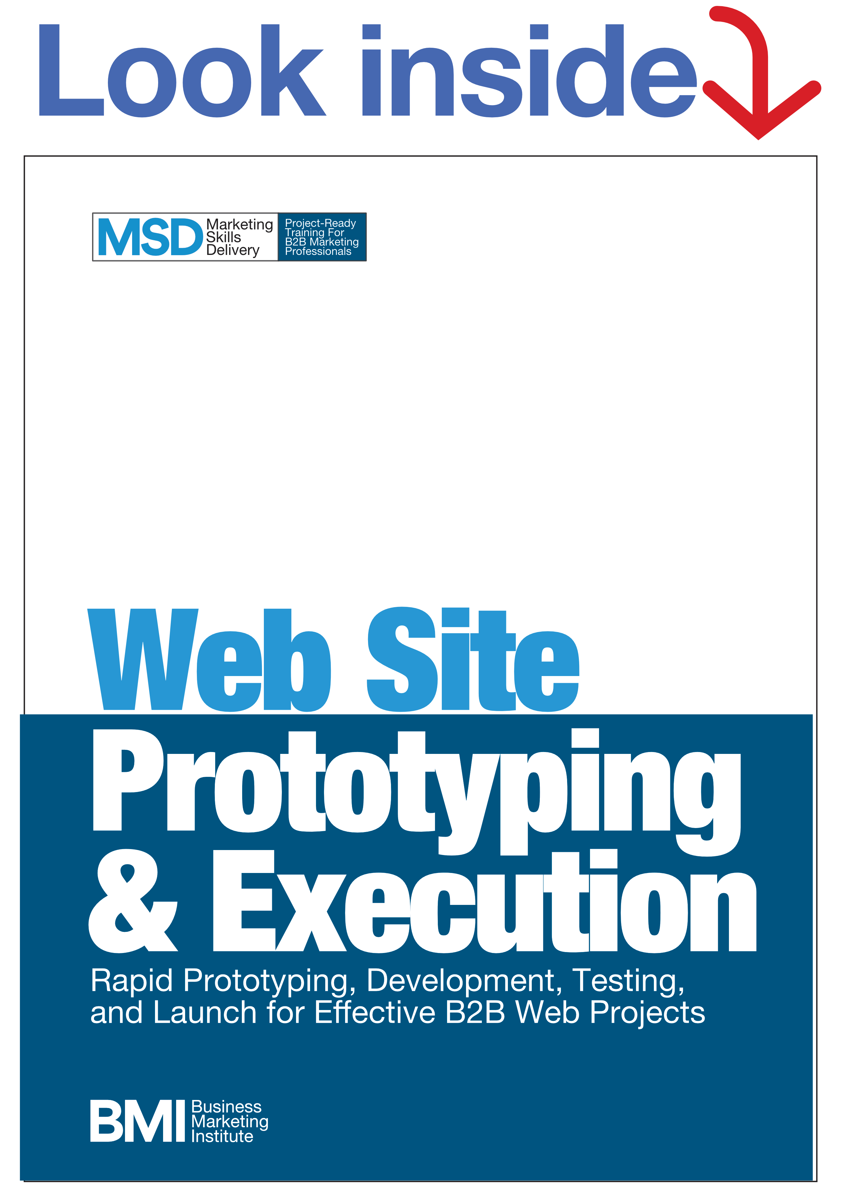 MSD10 Web Site Execution